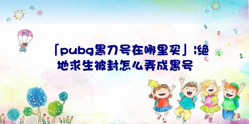 「pubg黑刀号在哪里买」|绝地求生被封怎么弄成黑号